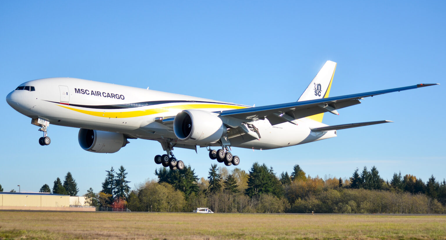 MSC Air - air cargo.png