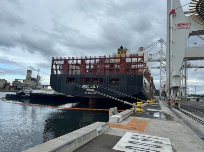 MSC lily at SSA terminal.png